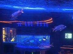 -上和臻品中国菜(花园街店)