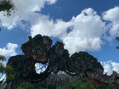 -奥兰多迪士尼动物王国乐园