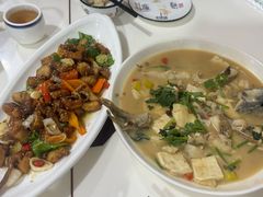 -煲来饱去冷水鱼