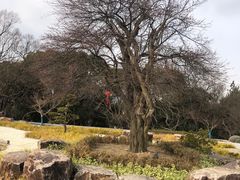 -无锡梅园公园
