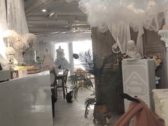 -共舞时光猫咖·狗咖(新街口店)