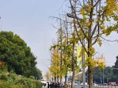 -成都南湖公园