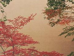 -浙江大学(玉泉校区)