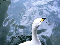 -海南热带野生动植物园