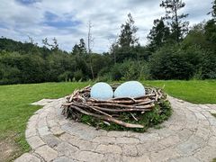 -五营红松林海景区