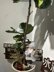 -唯奈斯肌肤管理中心