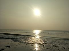 -日照海滨国家森林公园