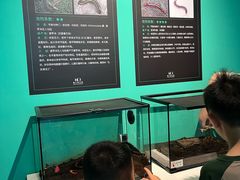 -成都银泰中心in99