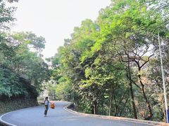 -火炉山森林公园