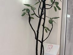 -小团圆糖水铺(襄阳南路店)
