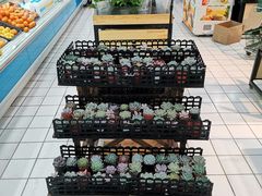 -青岛利群四方购物广场