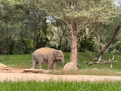 -北京野生动物园