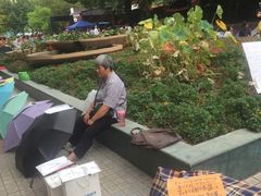 -人民公园-相亲角
