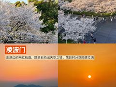 -靓靓蒸虾·头牌蒸虾(雪松路总店)
