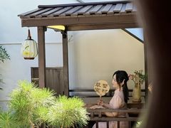 -蟹村草堂·苏式园林人文农家·大闸蟹