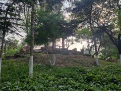 -万泉公园
