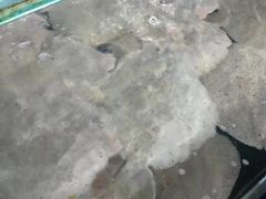 -常家活海鲜小吃(仅一家无分店)