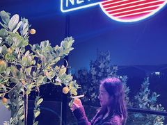 -纽扣NEWKO