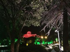 桂湖饭店-桂湖饭店