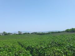 -南京市江宁方山