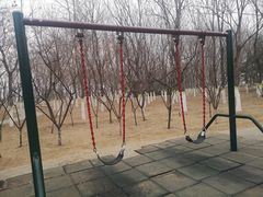 -大兴滨河森林公园