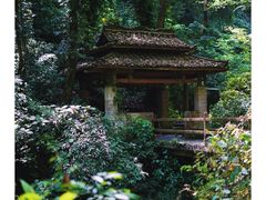 -桂林古东瀑布景区