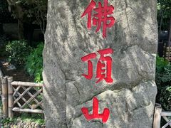 -普陀山风景区-佛顶山