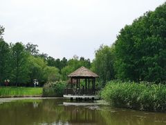 -东平国家森林公园