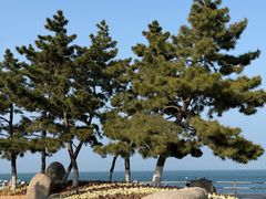-悦海公园