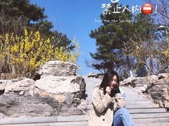 -大兴滨河森林公园