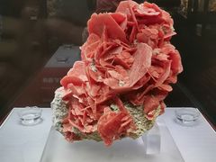 -湖南省地质博物馆