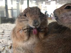 -海合安武汉极地海洋公园