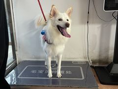 -宠颐生中康贝怡动物医院