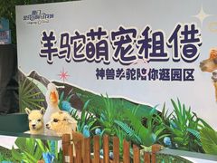 -灵玲国际马戏城