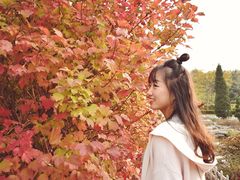 -八大关景区