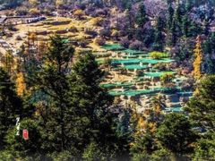-黄龙山原始森林景区
