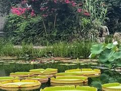 -国家植物园南园