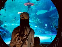 -沈阳海洋探索中心