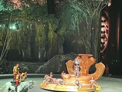 -广州长隆国际大马戏