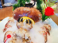 珍宝蟹-尚海豆捞(乐虹坊店)