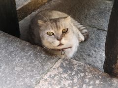 -老屋咖啡