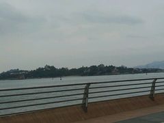 -演武大桥观景平台