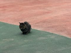 -昆山城市生态森林公园