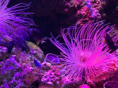 -郑州海洋馆