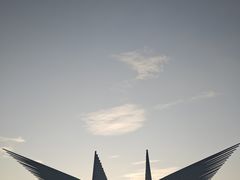 -风云岭森林公园