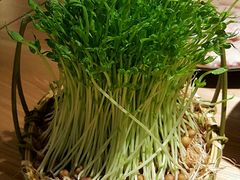 -大头椰·椰子鸡火锅(南宁万象城店)