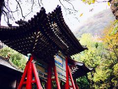 -藏山旅游风景区