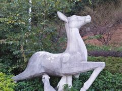 -金鸡山公园