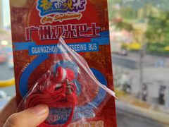 -广州都市观光巴士(粤陶巴)