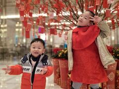 -彩丰楼·中餐厅(国家会展中心上海洲际店)